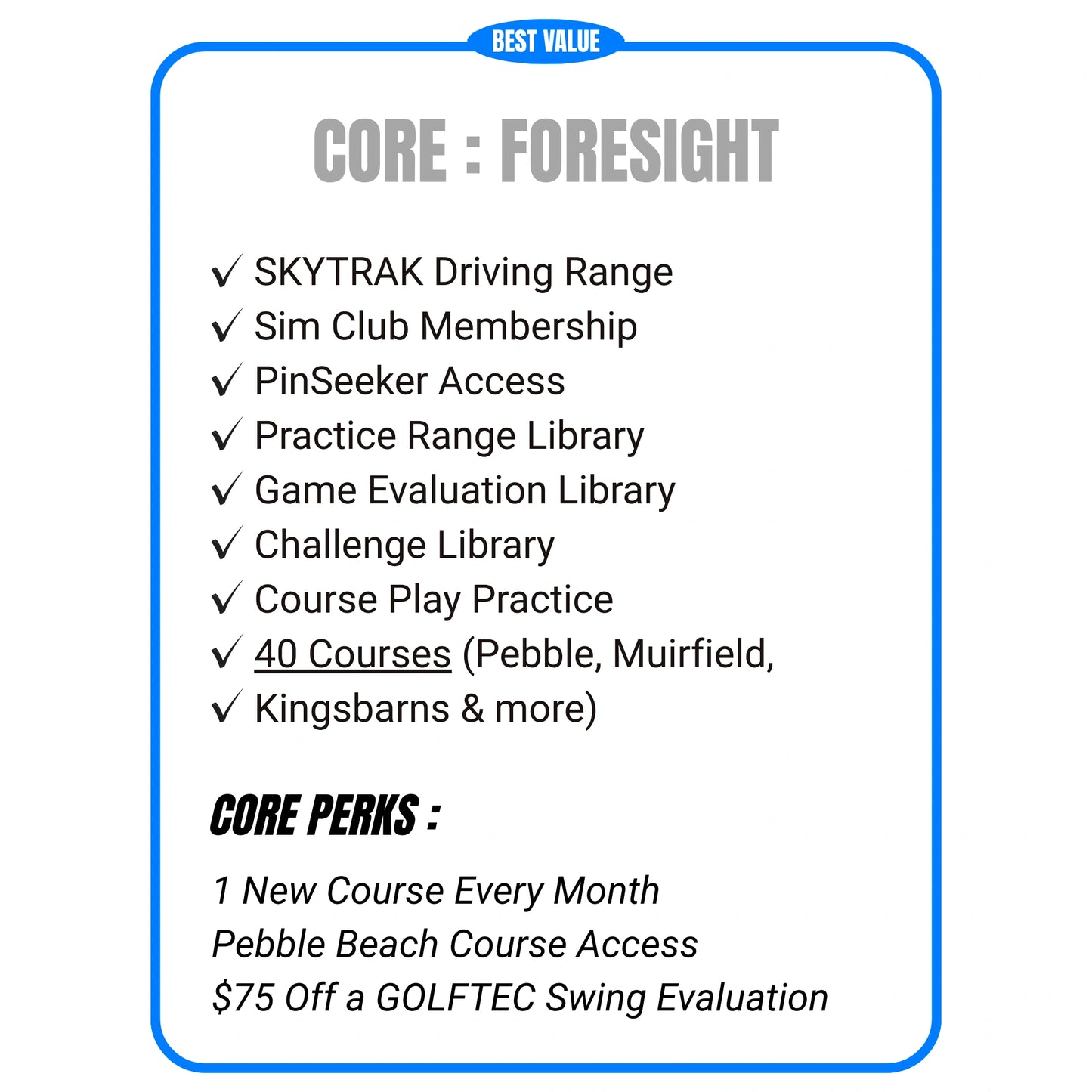 SkyTrak ST Max : Advanced Golf Launch Monitor for Indoor & Outdoor Practice