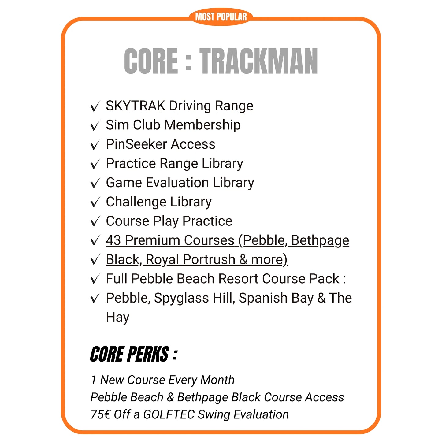 SkyTrak ST Max : Advanced Golf Launch Monitor for Indoor & Outdoor Practice